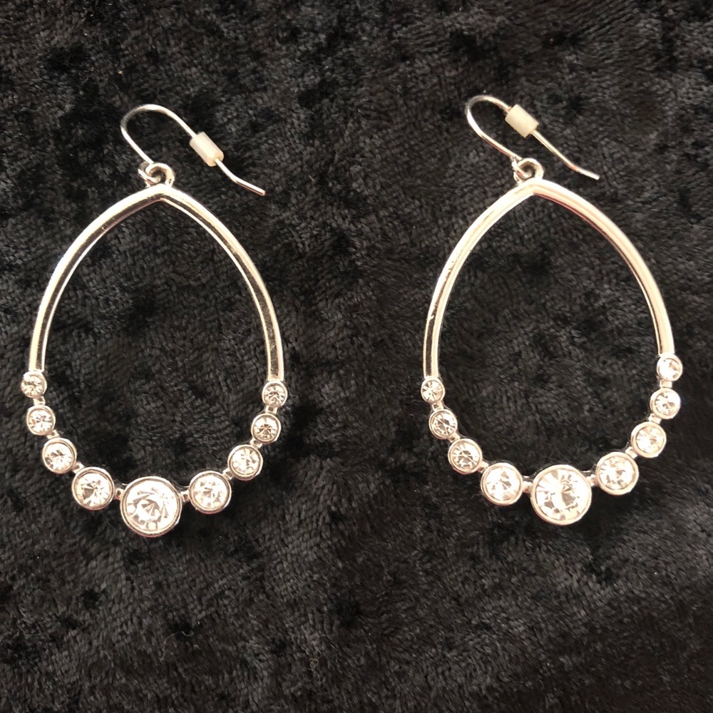 Silver oval shaped earrings